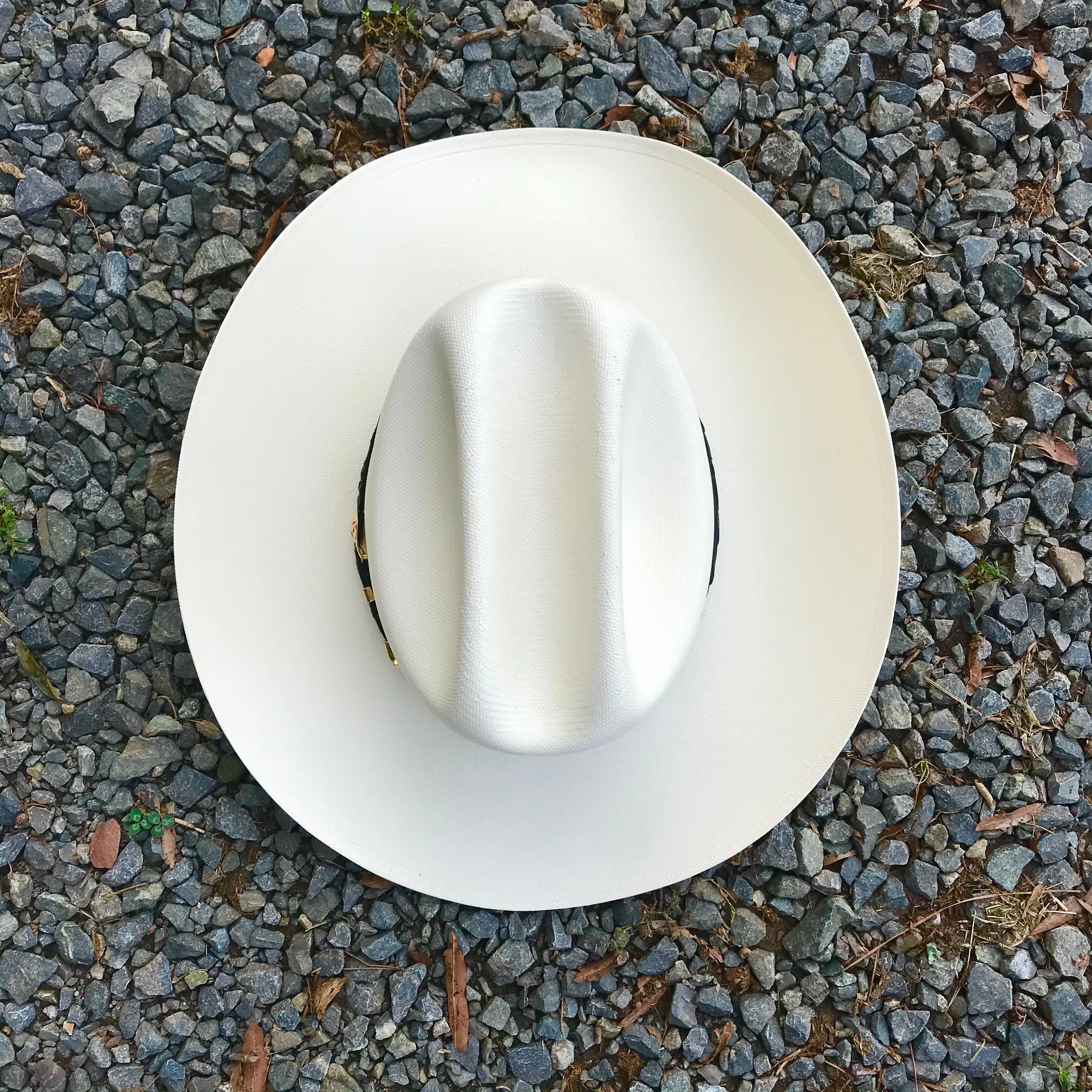 Stetson 1000X Evilla De Oro Luxury Cowboy Hat